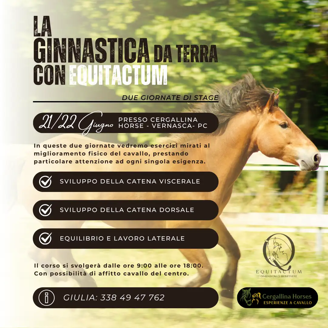 LA GINNASTICA A TERRA CON EQUITACTUM