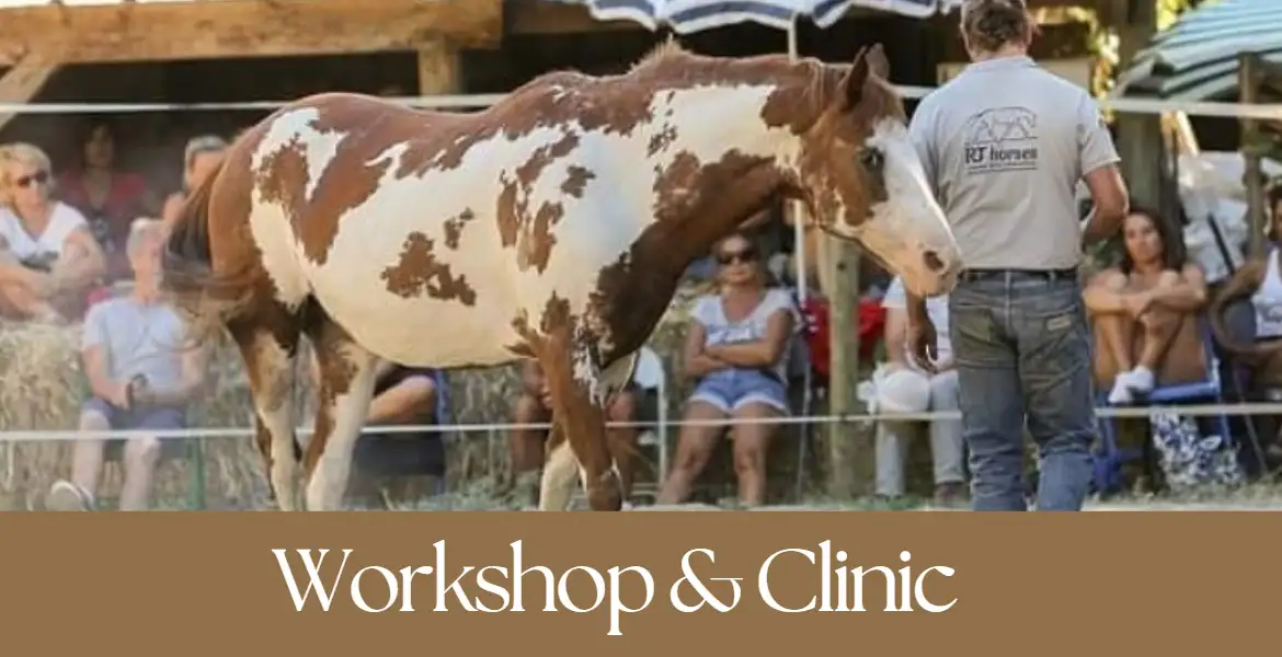 OPEN DAY ROBERTO DEVIVO HUMAN HORSE MENTOR