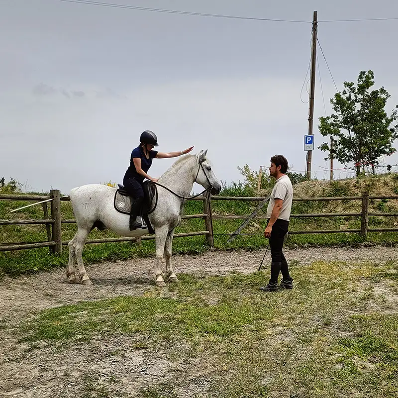 horsemanship cergallina